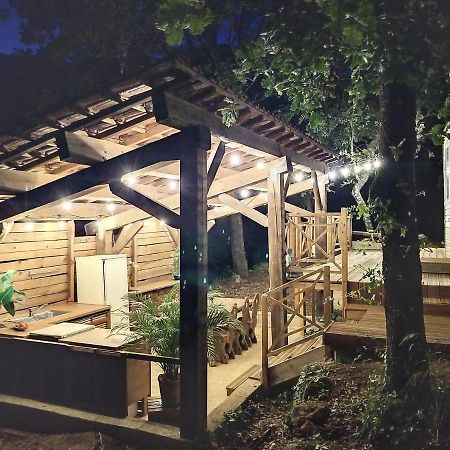 La Tiny Du Midi Hotel Tourrettes-sur-Loup Kültér fotó
